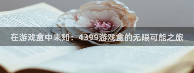 在游戏盒中未知：4399游戏盒的无限可能之旅