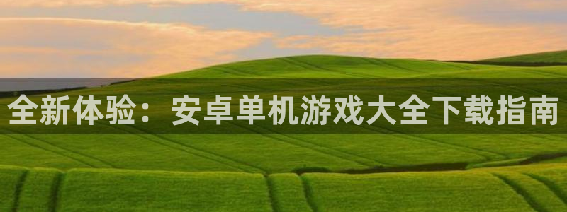 全新体验：安卓单机游戏大全下载指南