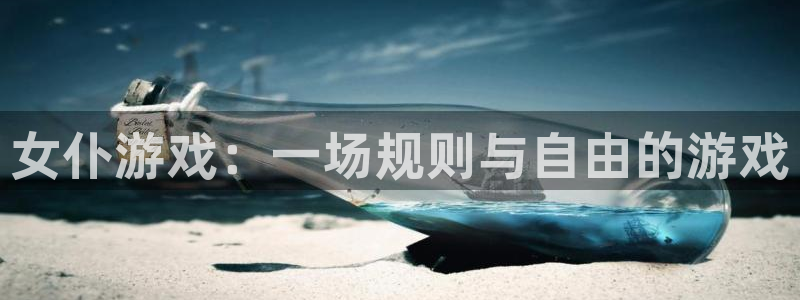 女仆游戏：一场规则与自由的游戏