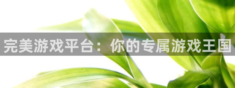 完美游戏平台：你的专属游戏王国