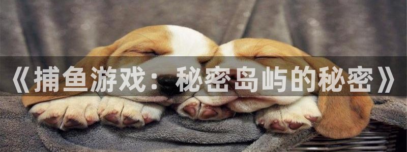 雷火竞技官网607.最新的在哪里.中国