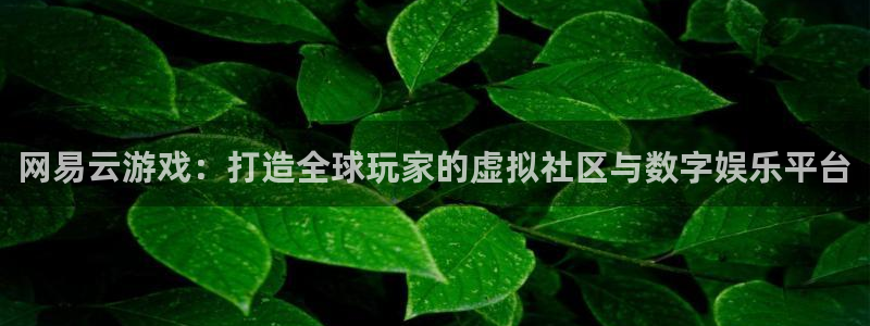 雷火竞技官网是多少