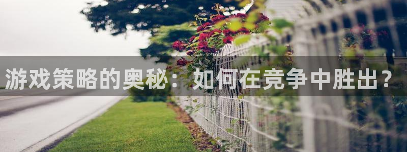 雷火竞技官方网站入口手机版下载