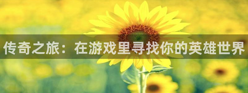 雷火竞技官网入口正式版：传奇之旅：在游戏里寻找你的英雄世界