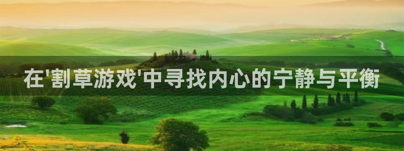 雷火竞技官方网站入口网址大全：在\'割草游戏\'中寻找内心的