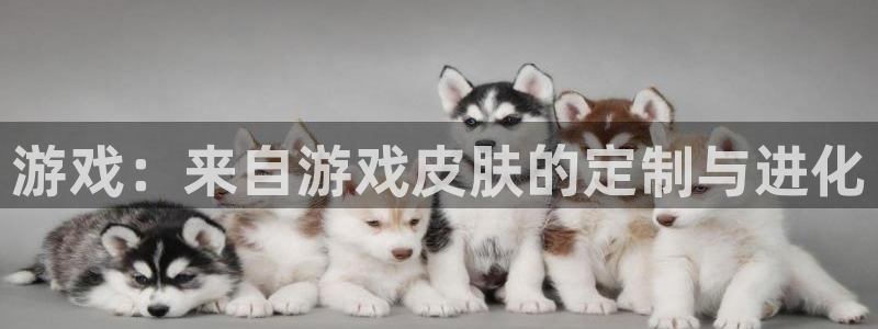 雷火竞技下载官网手机版