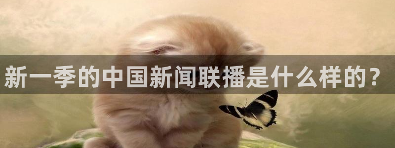 新闻图片