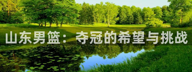 9255tv直播无插件nba：山东男篮：夺冠的希望与挑战