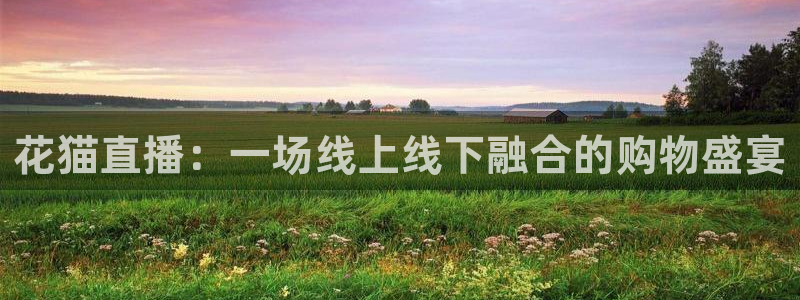 9255tv直播nba在线直播：花猫直播：一场线上线下融合的购物盛宴